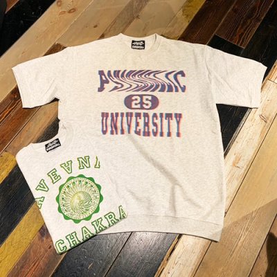 画像1: {NO MAD NUMSKULL} COLLEGE S/S SWEAT / ASH GRAY