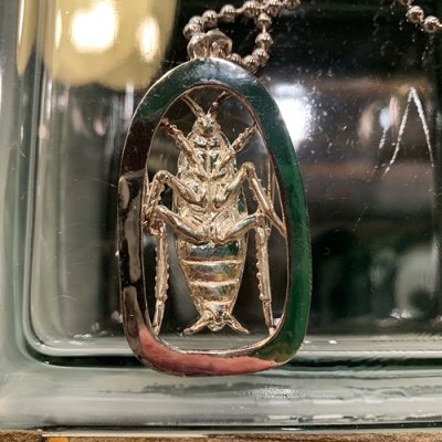 画像3: {GRYPHON} Evil cockroach Necklace