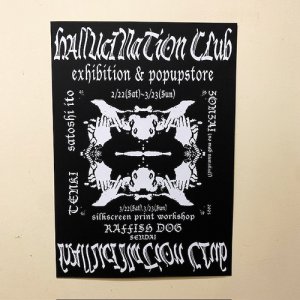 画像: {NO MAD NUMSKULL} "HALLUCINATION CLUB" FLYER POSTER